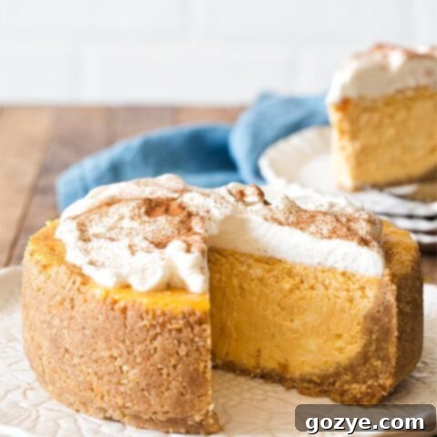 6 Inch Pumpkin Cheesecake recipe, garnished with whipped cream and a sprinkle of cinnamon