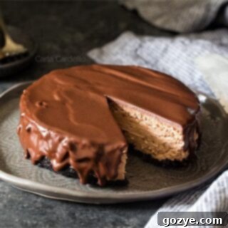 6 Inch Chocolate Cheesecake for two