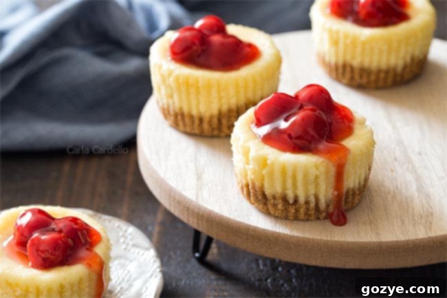 Mini Cheesecakes with graham cracker crust