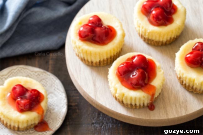 5 Mini Cheesecakes