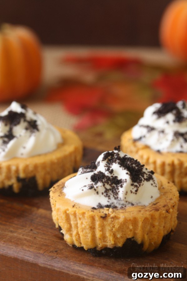 Seasonal Mini Pumpkin Cheesecakes with an Oreo crust, perfect for Thanksgiving
