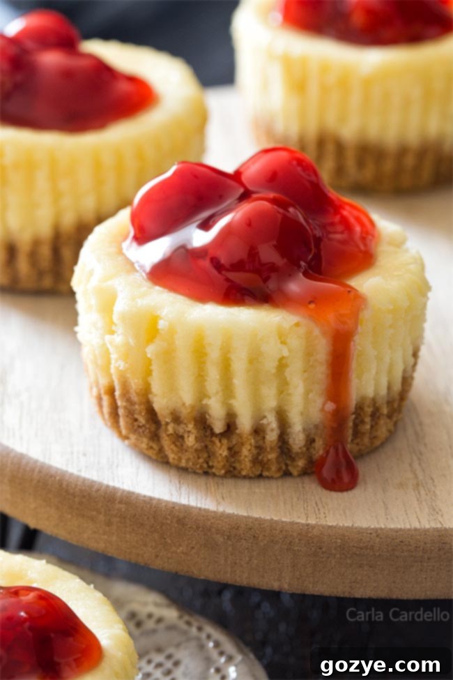 Small Batch Mini Cheesecakes topped with fresh cherries and a drizzle of sauce