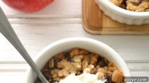 Individual serving of Chocolate Chip Cookie Apple Crumble, topped with a scoop of ice cream