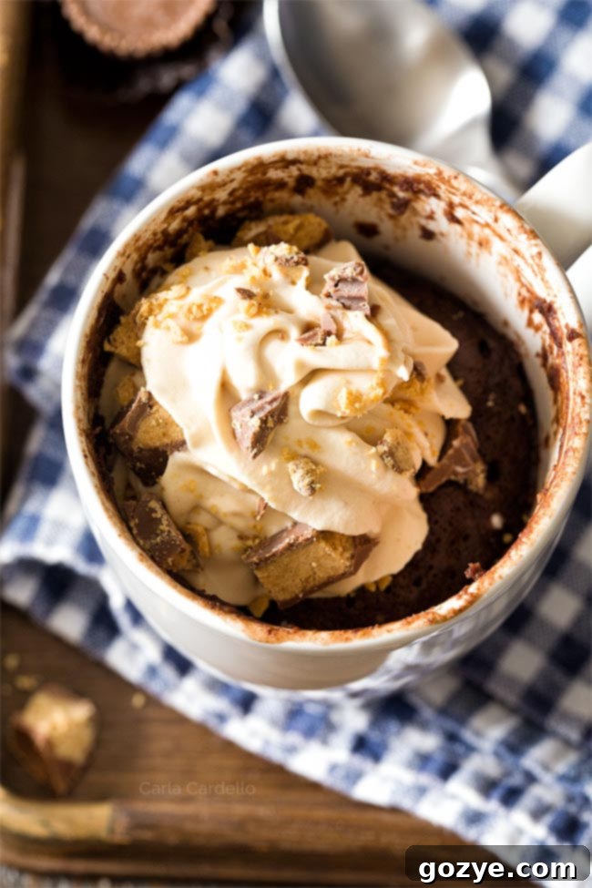 The finished Chocolate Peanut Butter Mug Cake, artfully adorned with a generous swirl of rich peanut butter whipped cream