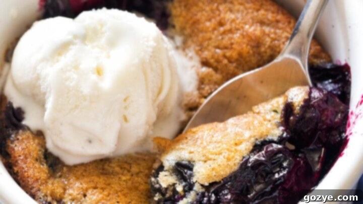 Blueberry Cobbler For Two, baked in ramekins with scratch-made dough.