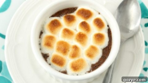 Single Serve S'mores Peanut Butter Cup Brownie in a ramekin with melted marshmallows.