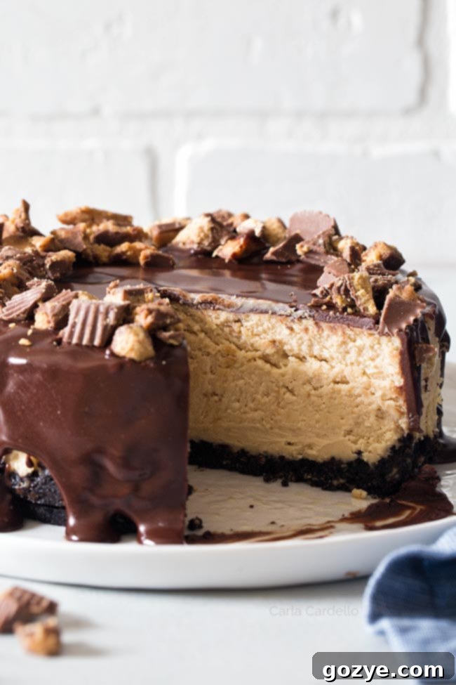 Peanut Butter Cheesecake with slice missing