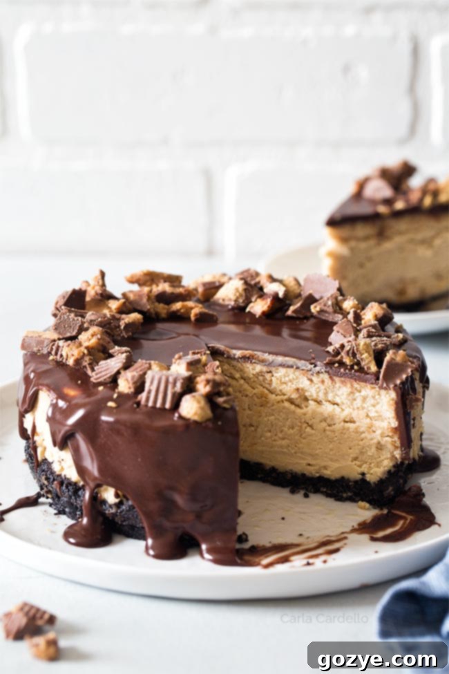 Peanut Butter Cheesecake with a slice on a plate