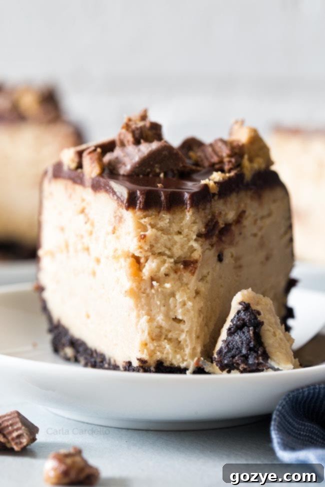 Slice of peanut butter cheesecake with fork