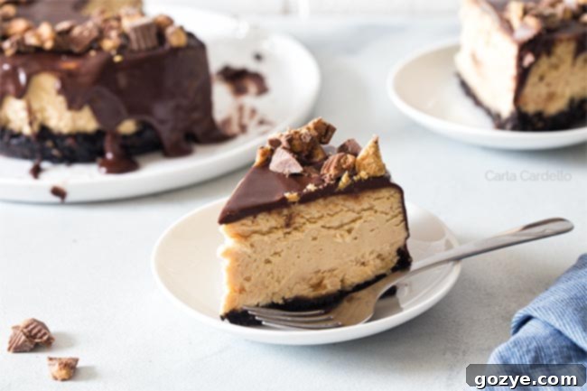Slice of peanut butter cheesecake on white plate