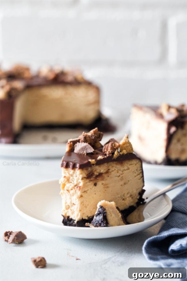 Slice of peanut butter cheesecake on white plate