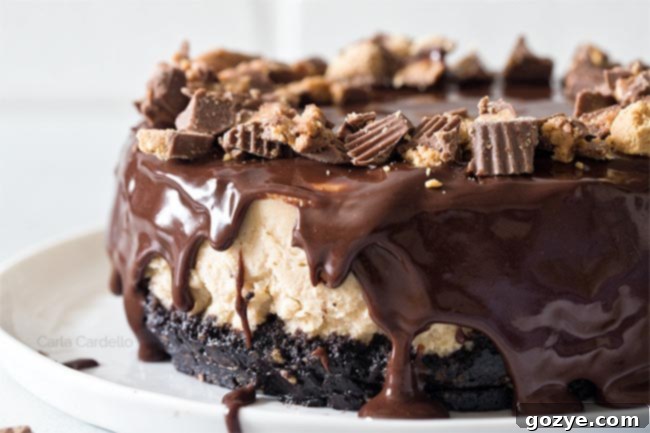Peanut butter cheesecake covered in chocolate ganache