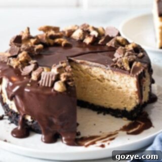Peanut butter cheesecake with a slice cut