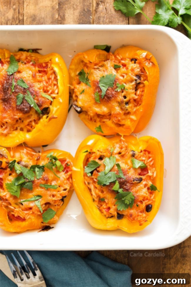 Vegetarian Stuffed Peppers with rice in white baking dish