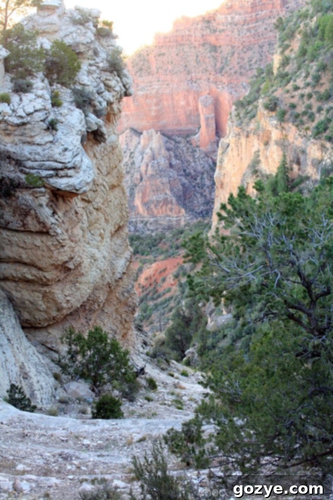 IMG_3561 A deep perspective shot looking down into the Grand Canyon, emphasizing its incredible depth.