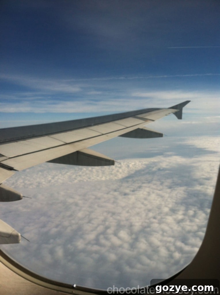 IMG_1457 Aerial view of cloud formations from an airplane window, showcasing white puffy clouds over a blue sky.