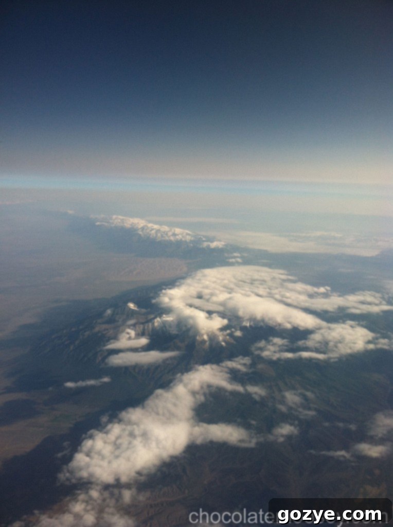 IMG_1463 Extensive green farmland seen from high above, displaying an organized agricultural landscape.