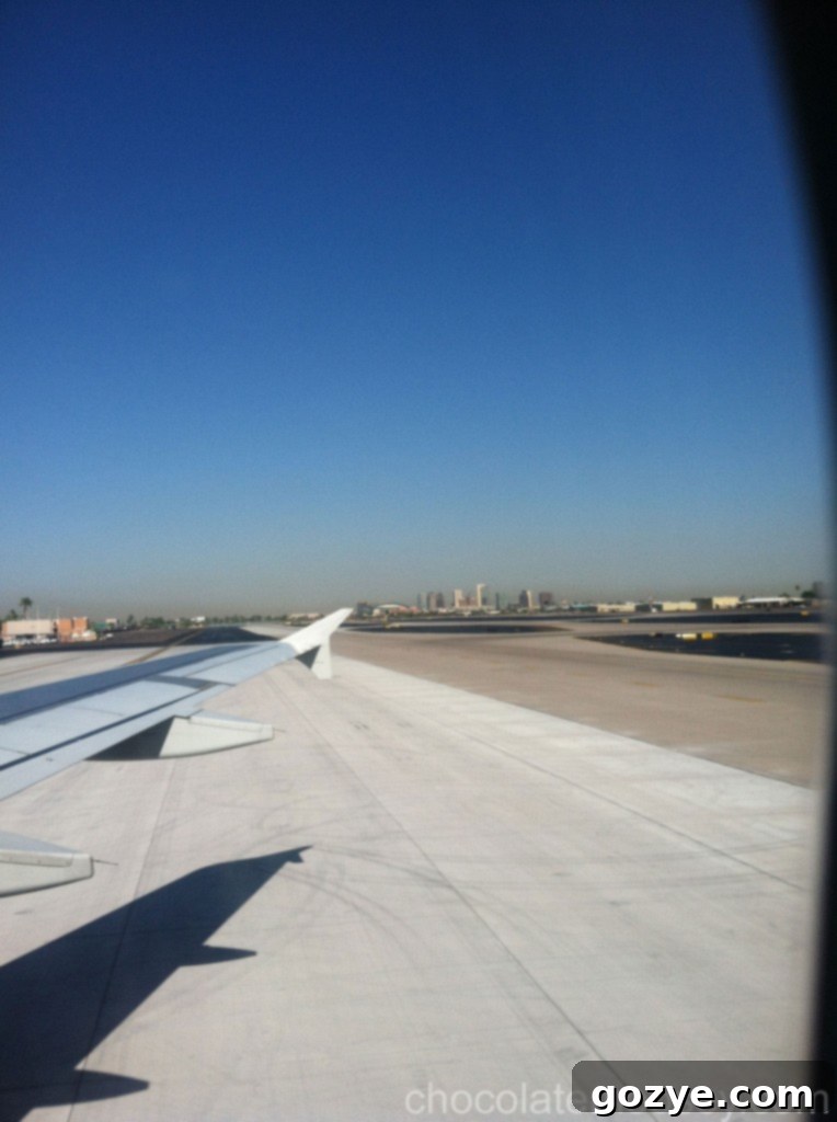 IMG_1495 The sprawling city of Phoenix viewed from above, with buildings and roads laid out against the desert.