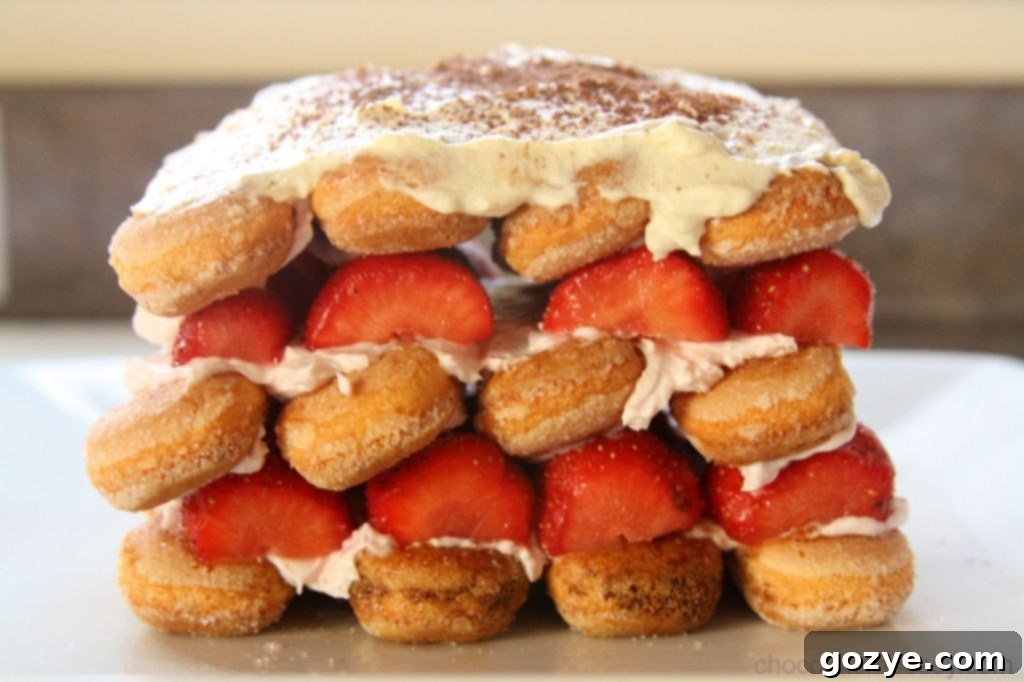 Close-up of a layered Strawberry Tiramisu, showing the ladyfingers and creamy filling