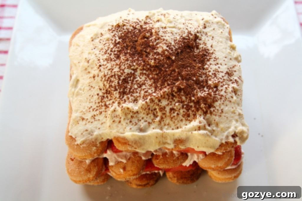 Top view of Strawberry Tiramisu with cocoa dusting and fresh strawberries