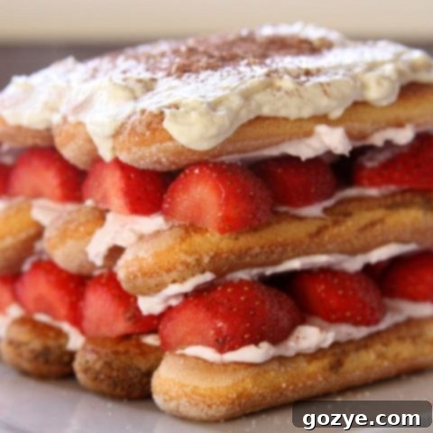 Strawberry Tiramisu - A delightful, fruit-infused take on the classic Italian dessert