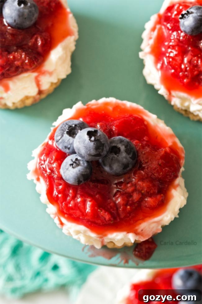 Quick No-Bake Cheesecake Bites 4 Overhead shot of two mini no-bake cheesecakes with fresh berries and mint