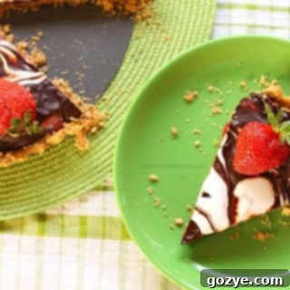 Homemade Strawberry S'mores Tart Recipe