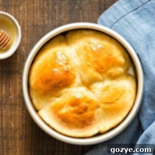 Homemade Small Batch Dinner Rolls 8 Round pan filled with small batch dinner rolls