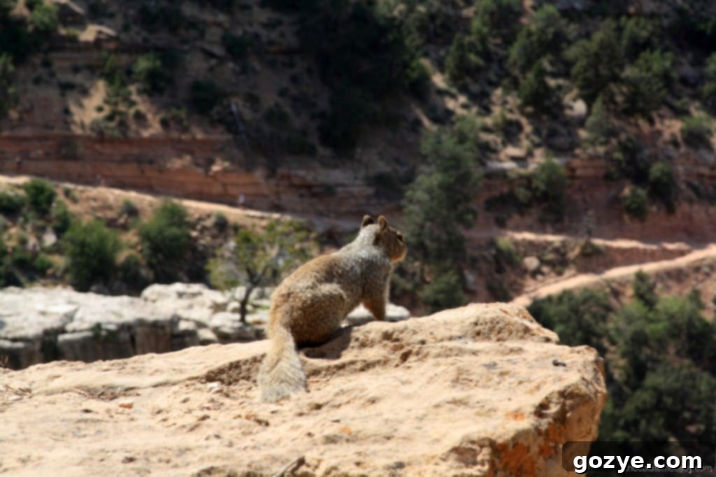 Scenic overlook of the Grand Canyon, featuring dramatic cliffs and valleys.