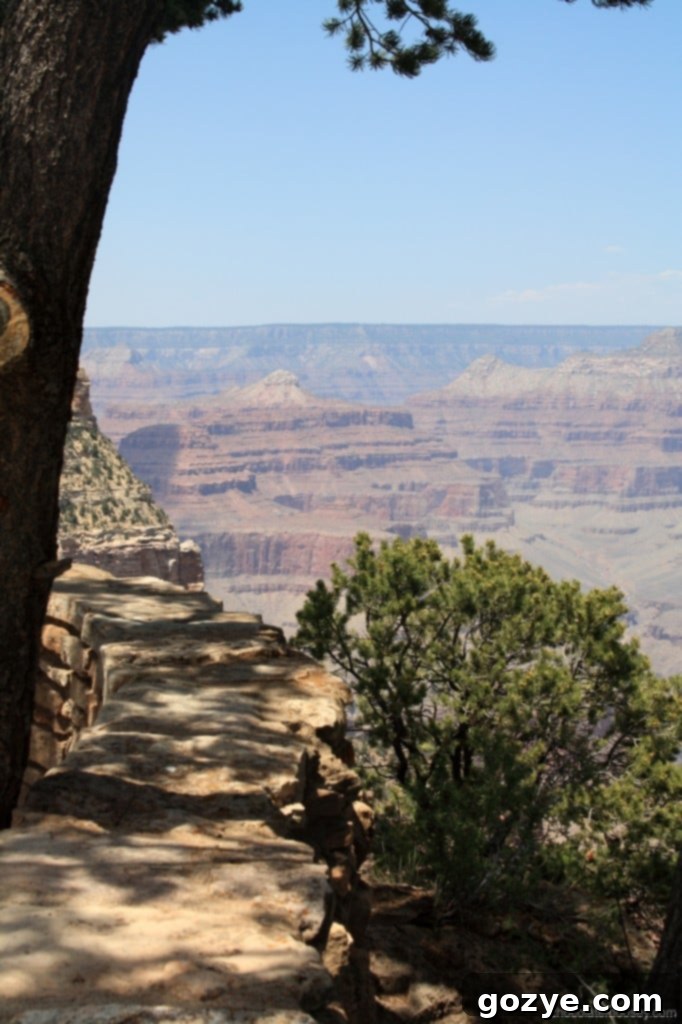 Vertical photograph highlighting a specific section of the Grand Canyon.