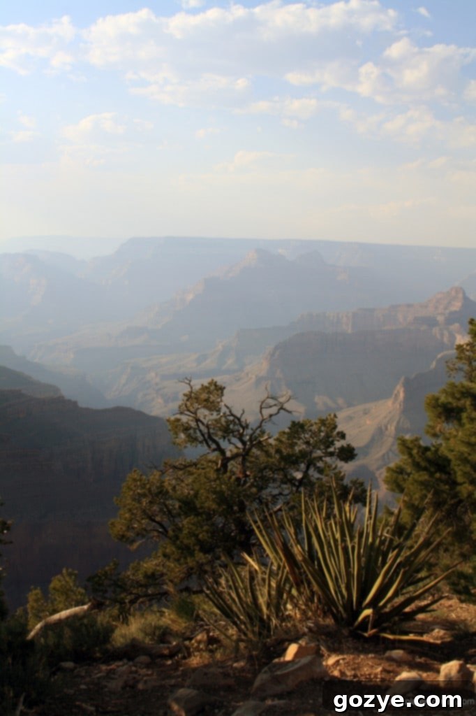 A favorite vertical shot of the Grand Canyon, capturing its serene beauty.