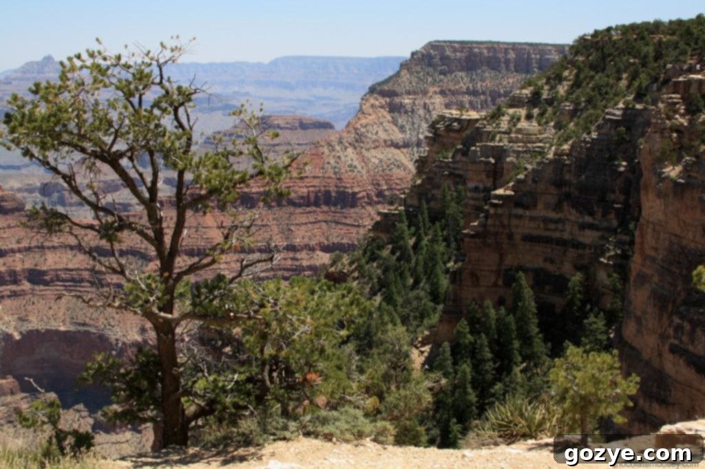 A distant view showcasing the vastness and rugged terrain of the Grand Canyon.