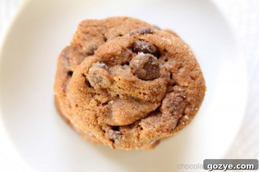 Chocolate Chili Spice Cookies