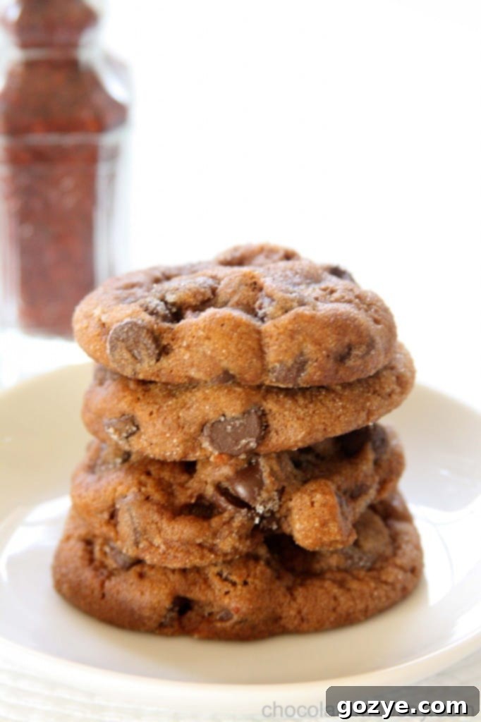 Chocolate Chili Spice Cookies