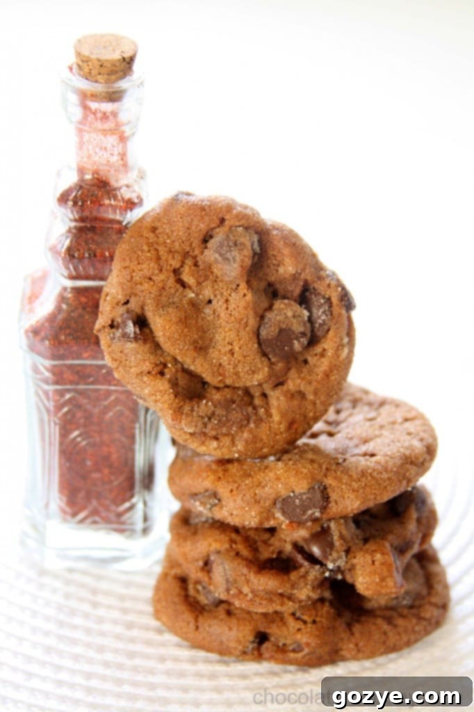 Chocolate Chili Spice Cookies
