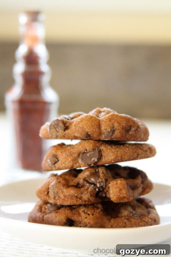 Chocolate Chili Spice Cookies
