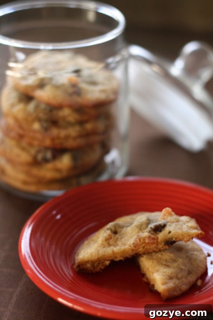 Single Bacon and Dried Cherry Chocolate Chip Cookie showing its delightful ingredients