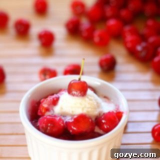 Cherry Pie Ice Cream Sundae, a perfect single serving dessert with homemade cherry filling and vanilla ice cream