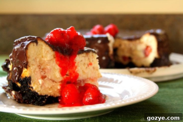 Chocolate Cherry Cheesecake from Carla Cardello