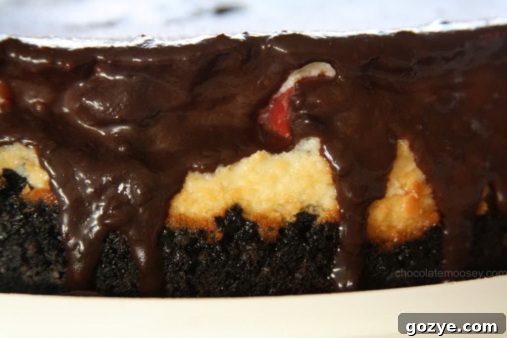 Inside view of Chocolate Cherry Cheesecake layers