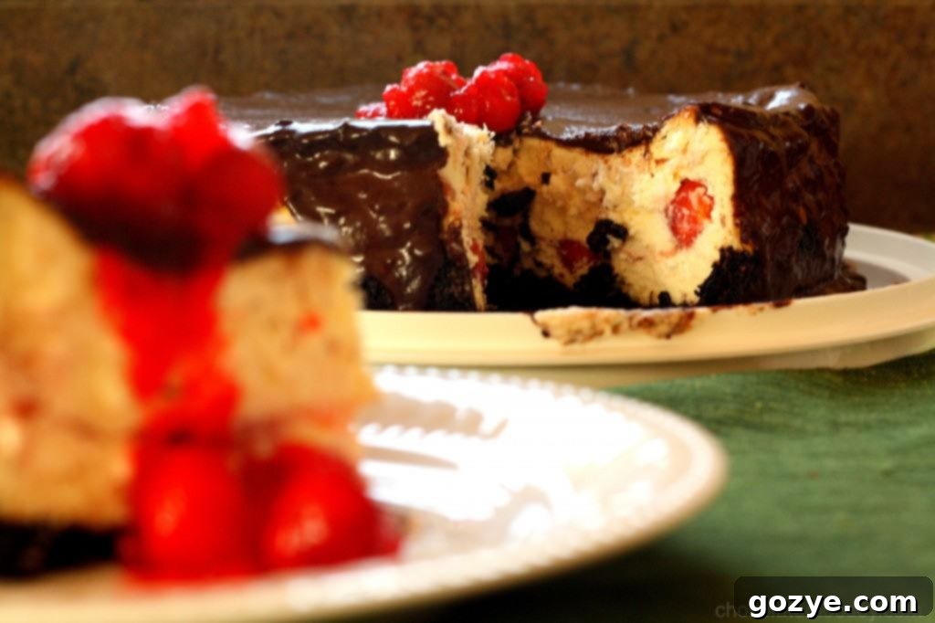 Slice of Chocolate Cherry Cheesecake on a plate