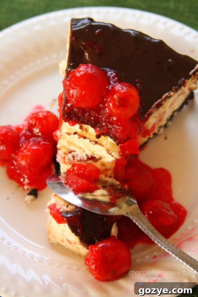 Top view of Chocolate Cherry Cheesecake