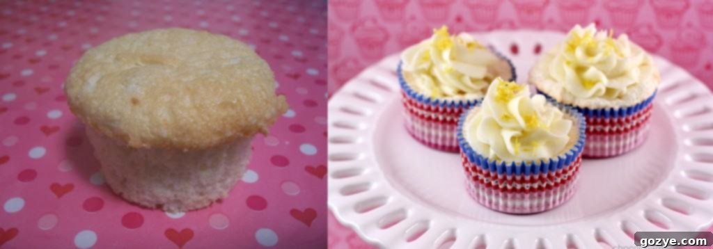 Comparison of Angel Food Cupcakes photography from 2009 (left) and 2012 (right), showing significant improvement