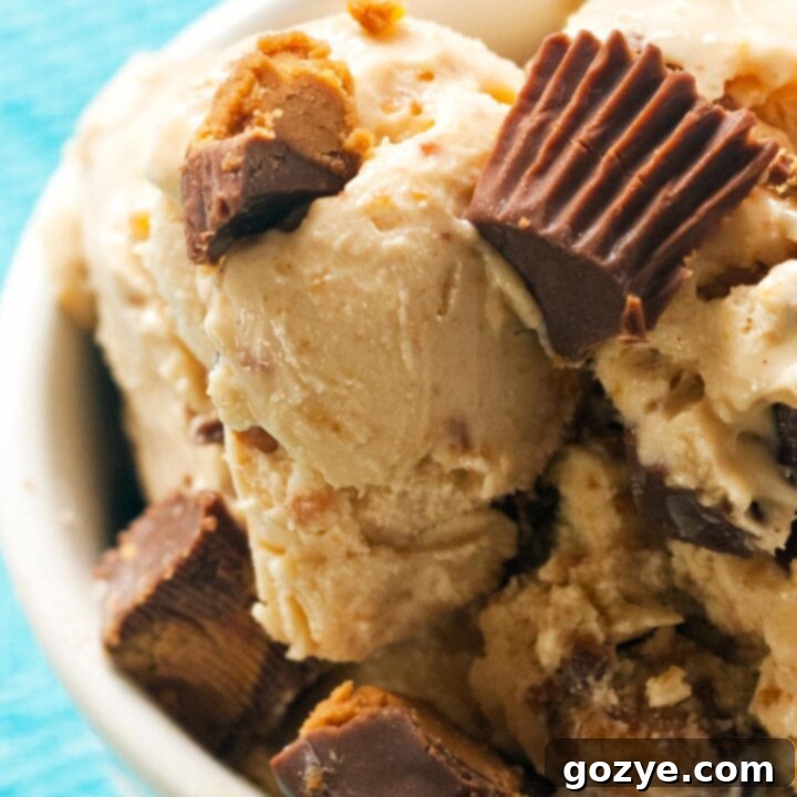 Close up of peanut butter ice cream with peanut butter cups
