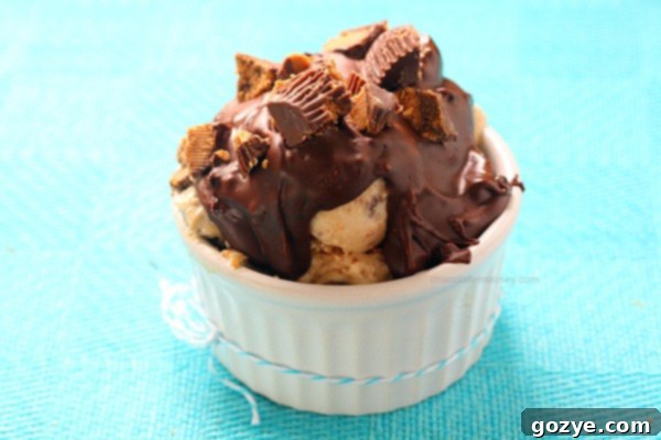 Chocolate Peanut Butter Instant Crunch Topping 2 Homemade Chocolate Peanut Butter Magic Shell poured over ice cream