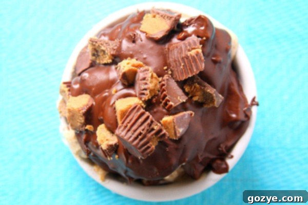Chocolate Peanut Butter Instant Crunch Topping 4 Homemade Chocolate Peanut Butter Magic Shell drizzled over ice cream with spoon