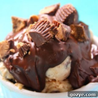 Chocolate Peanut Butter Instant Crunch Topping 6 Homemade Chocolate Peanut Butter Magic Shell recipe image