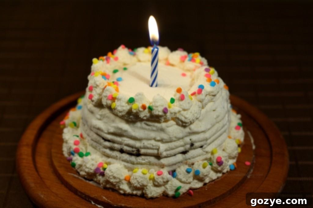 Homemade Copycat Dairy Queen Ice Cream Cake decorated with sprinkles and a lit candle, ready for celebration