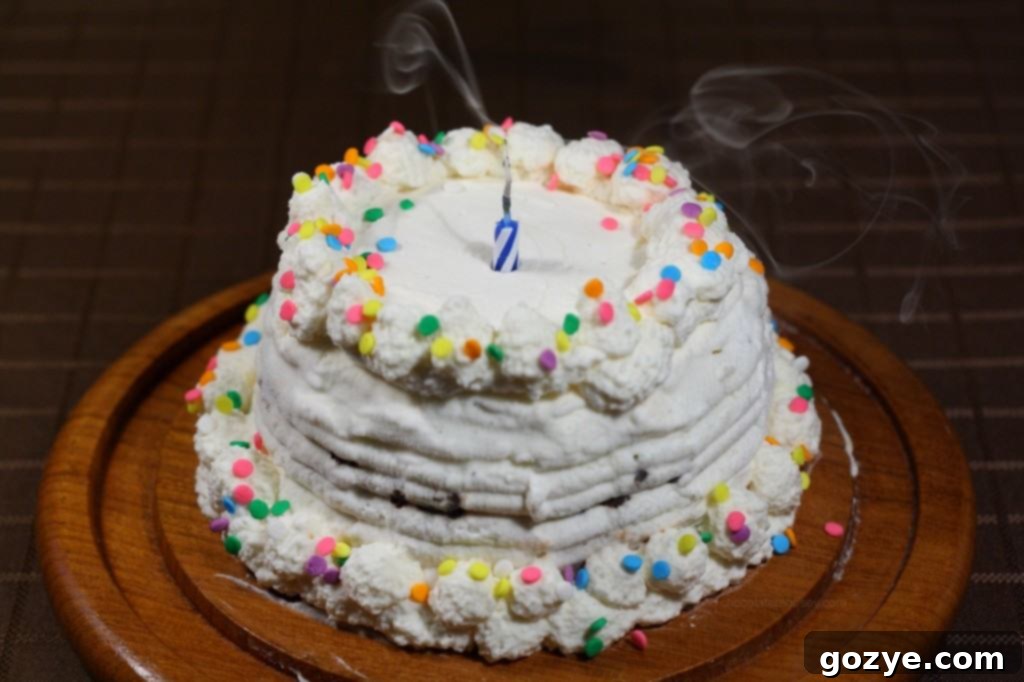 Close-up shot of a mini homemade Copycat Dairy Queen Ice Cream Cake in a springform pan, showcasing its perfect layers