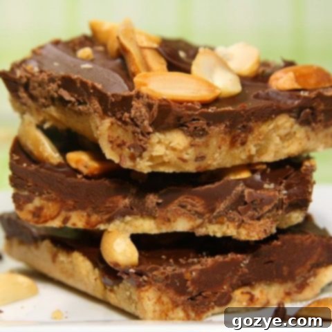 Homemade Chocolate Peanut Butter Squares Recipe